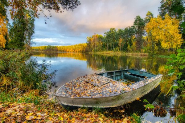 Осень Селигер