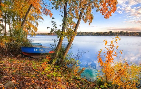 Волга Плес Золотая осень