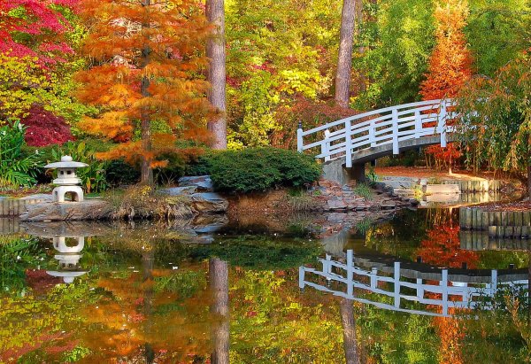 Осень мостик