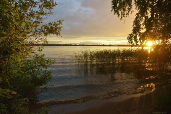 Репин Жигулевские горы