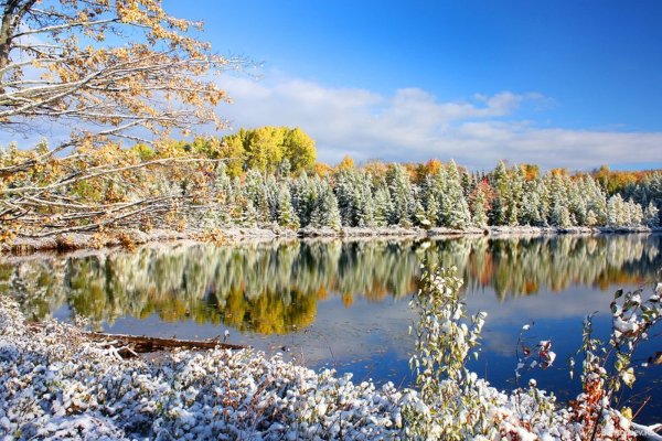 Красивая природа ноября