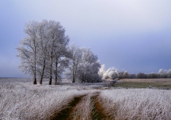 Ноябрь пейзаж