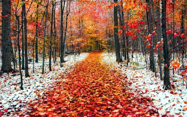 Поздняя осень