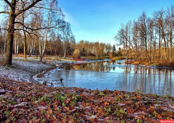 Глубокая осень