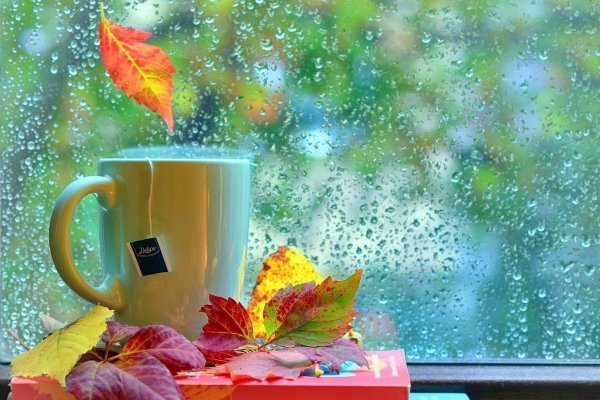 Доброе дождливое утро