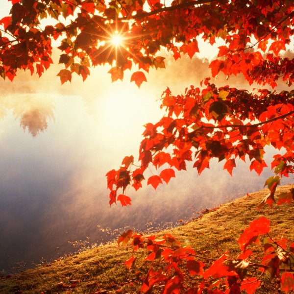 Благословенного осеннего дня