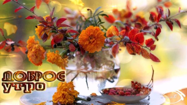 Дождливое утро осени