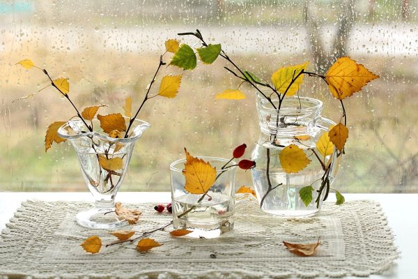 Осень в деревне