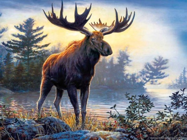 Картина лоси