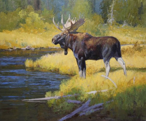 Тихменев лоси