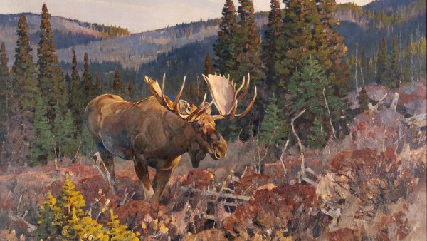 Карл Рунгиус художник