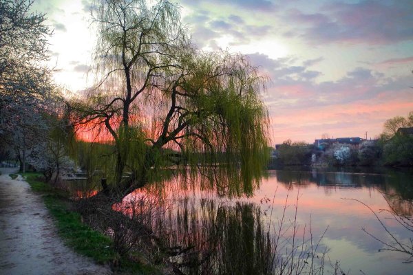 Шуя река Ивановская область