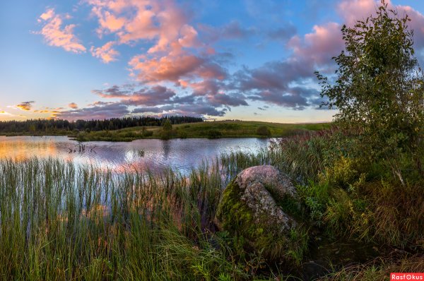 Озеро с берега Ленинградская область