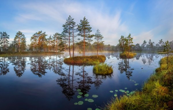 Озеро Шарское Марий Эл