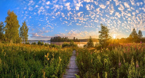 Медвежий остров Приозерск