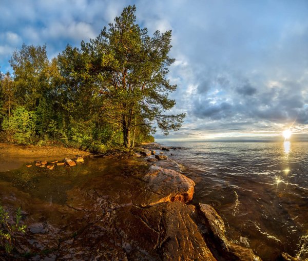 Федор Лашков Ленинградская область