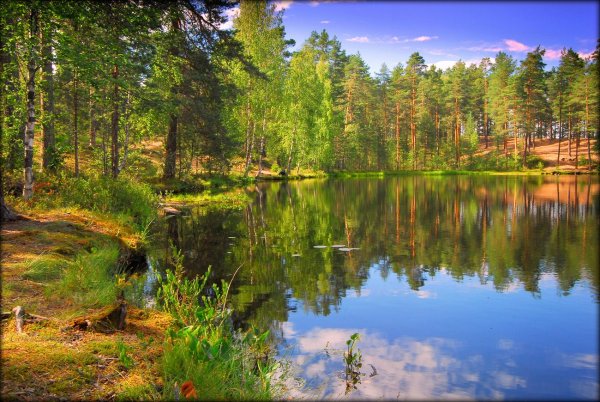 Пейзажи Федора Лашкова