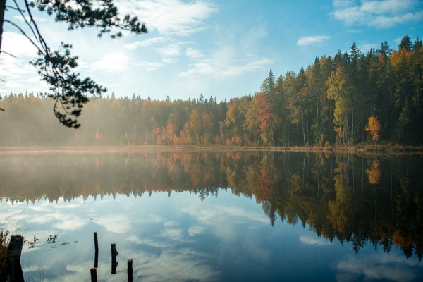 Тахтинское болото