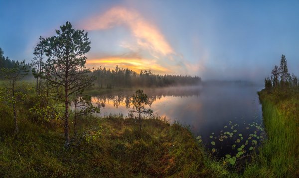 Река Лемовжа Ленинградская