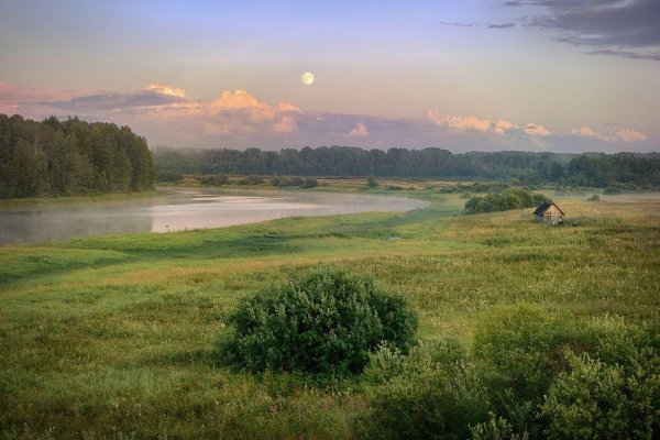 Озеро в соснах в Ленинградской области