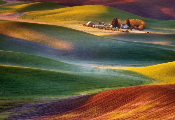 Разноцветные поля