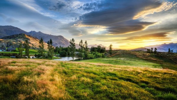 Новая Зеландия Луга