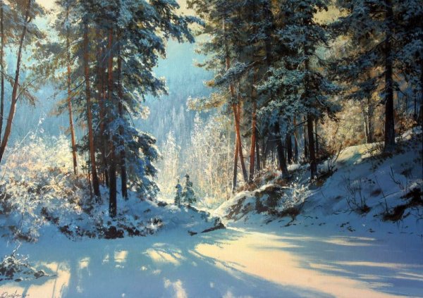 Лес в снегу