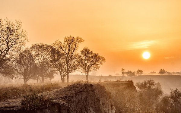 Рассвет сепия
