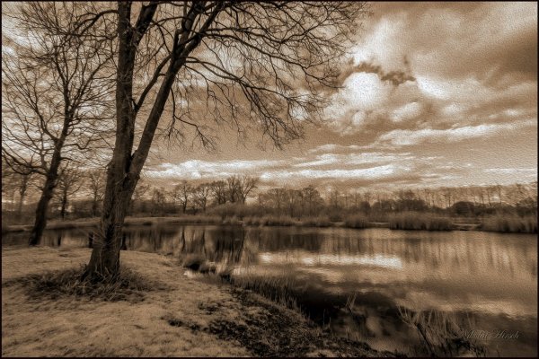 Пейзаж монохром