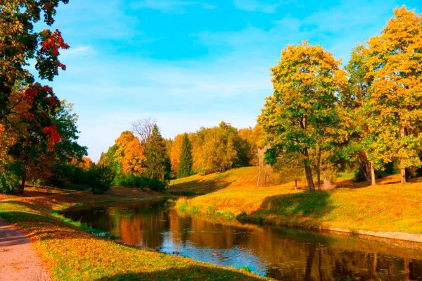 Ясный осенний день