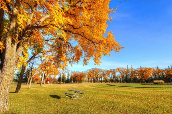 Обои на рабочий стол осень