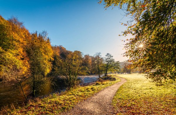 Ранняя осень