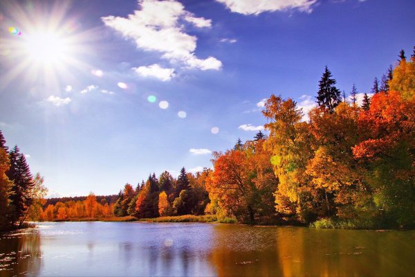 Осень в Подмосковье