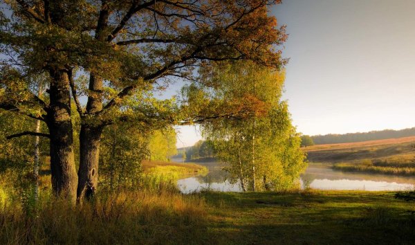 Осеннее солнце