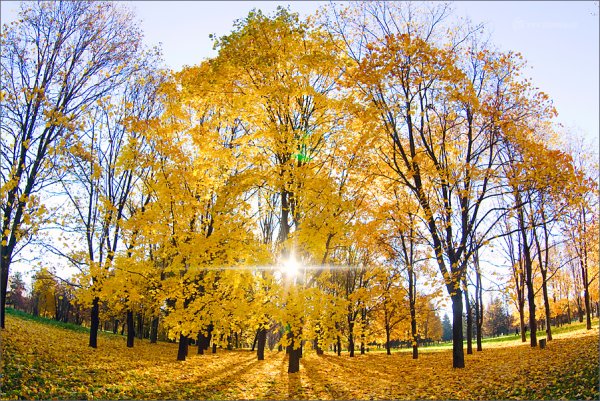 Пейзаж настроения в живописи