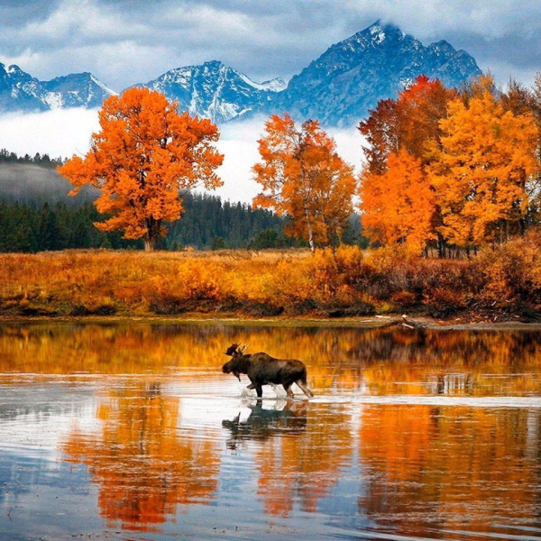 Осенний пейзаж