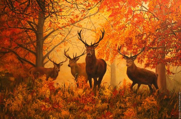 Олень в осеннем лесу