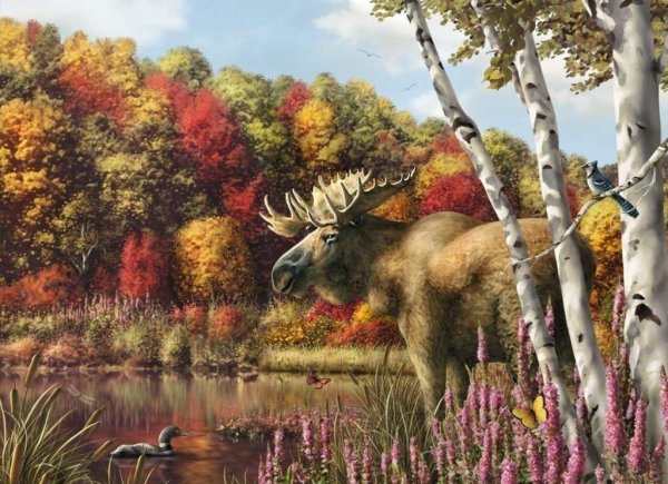 Картины животные на природе