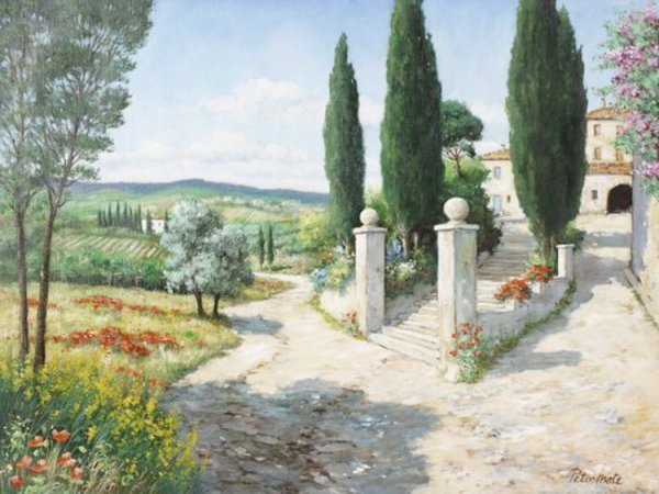 Тосканский пейзаж с кипарисами