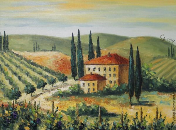 Италия пейзаж виноградники Тоскана