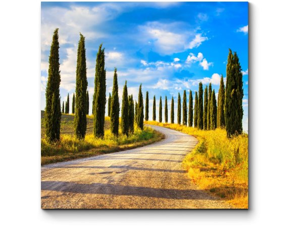 Трасса в Тоскане