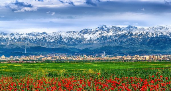 Казахстан горы Алматы