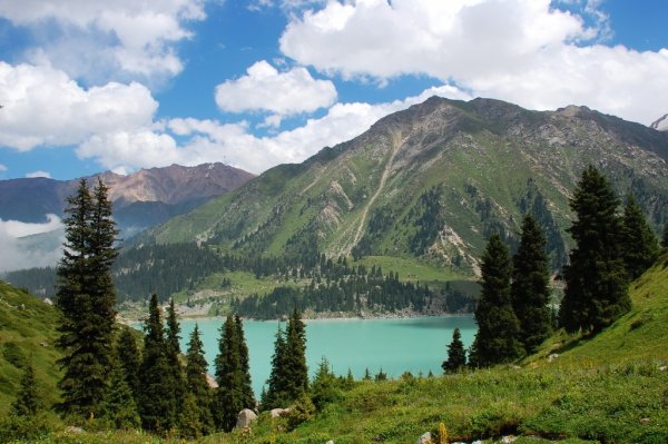 Природа горы Алма Ата