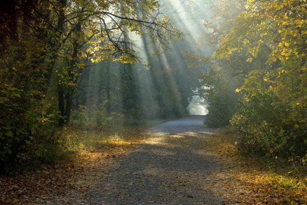 Григорий Григорьевич Мясоедов осеннее утро