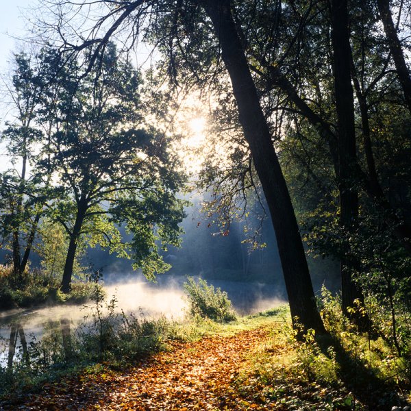 Мясоедов Григорий Григорьевич (1834-1911)