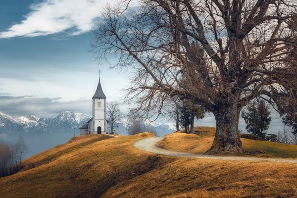 Деревья Церковь пейзаж