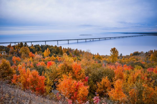Природа Ульяновской области Волга