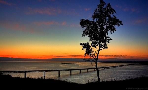 Ульяновск мост Волга осень