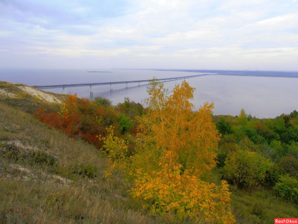 Чуенко Ульяновск пейзажи