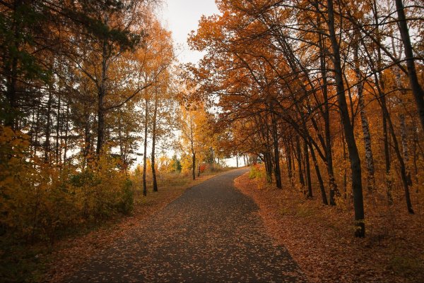 Ульяновск Тольятти река Волга